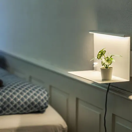 Appartement Historische Im Herzen Der Thuner Altstadt