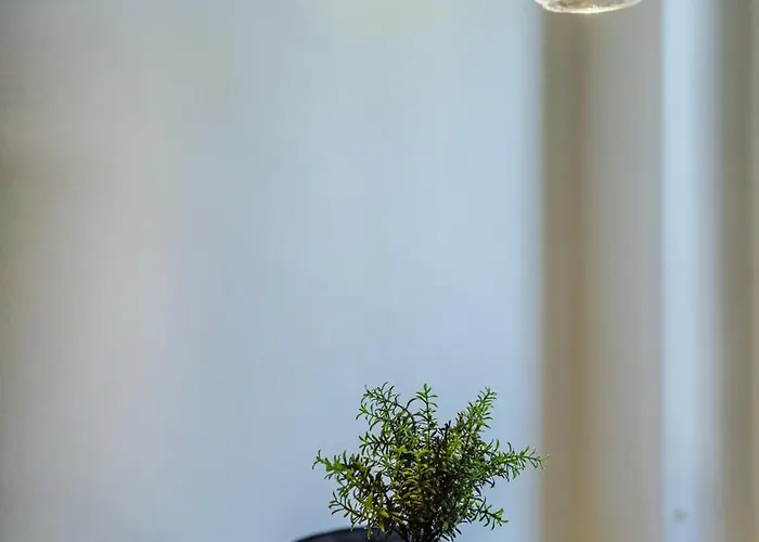 Historische Im Herzen Der Thuner Altstadt * Thun